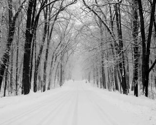 Winter Road