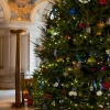 capitol christmas tree