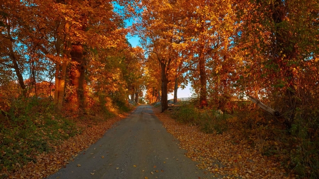 New York Road