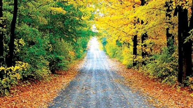 New York Road