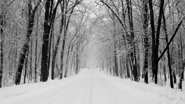 Winter Road