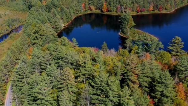 adirondack rail trail
