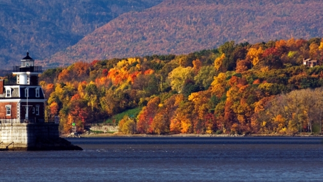 fall foliage